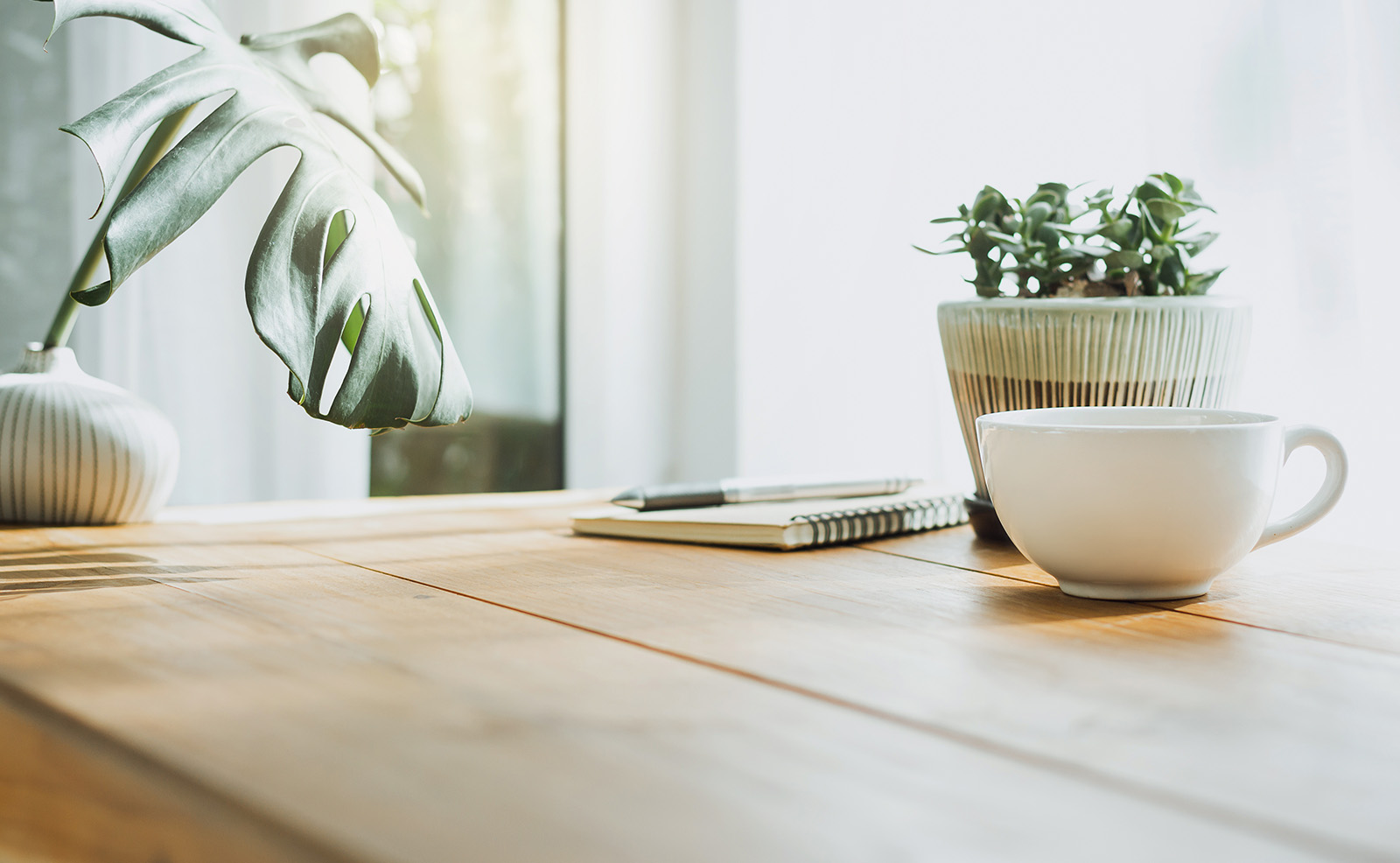 The image depicts a modern interior setting with a wooden table, a white mug, and a potted plant on the table, set against a blurred background that suggests an office environment.